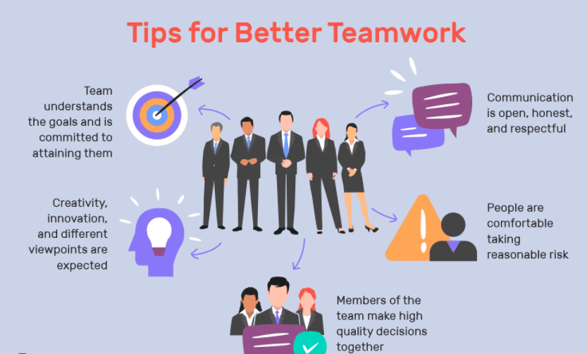 How to Build a Successful Team in an Organization